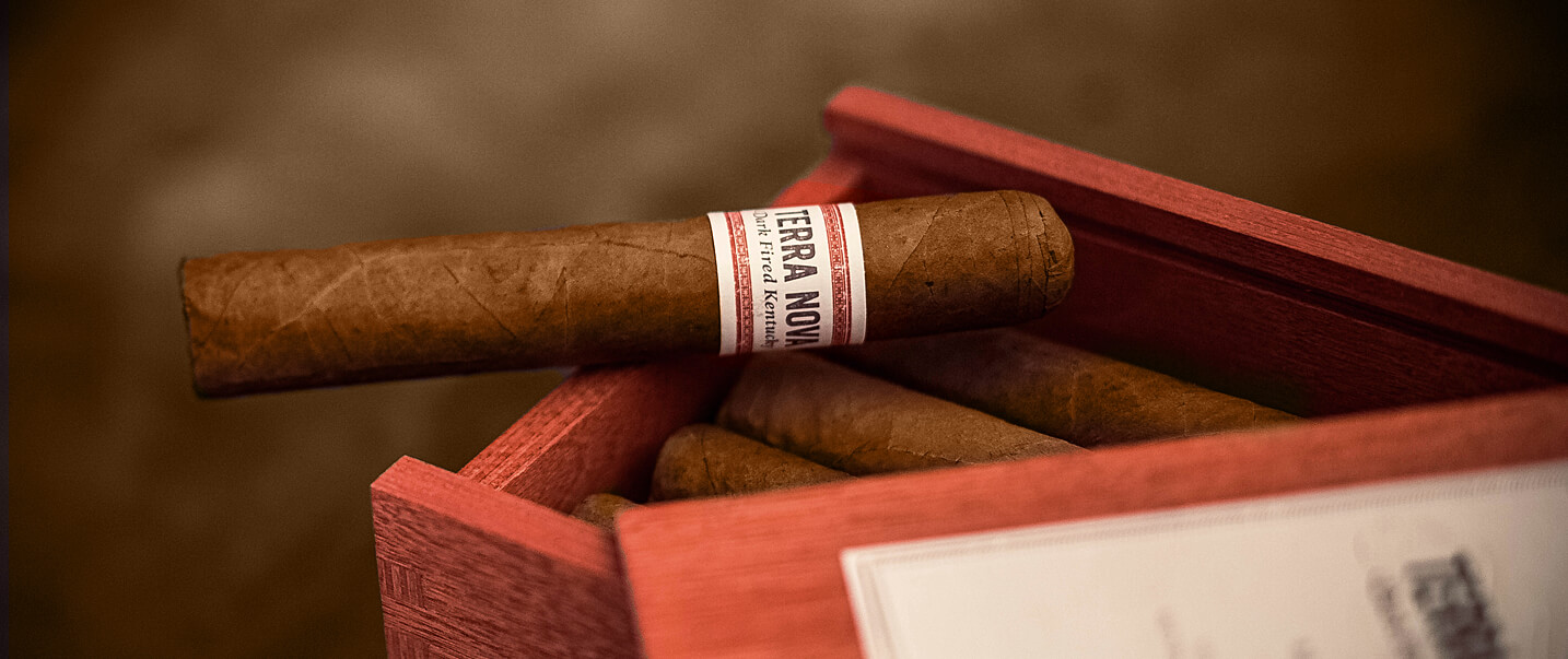 TERRA NOVA Dark Fired Kentucky im Detail