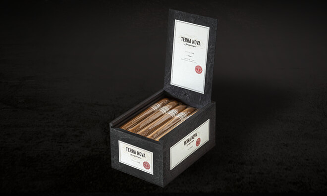 TERRA NOVA Araperique Belicoso