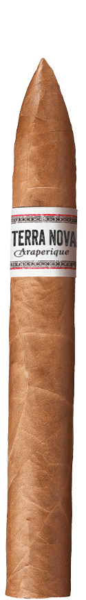 TERRA NOVA Araperique Belicoso Cigar