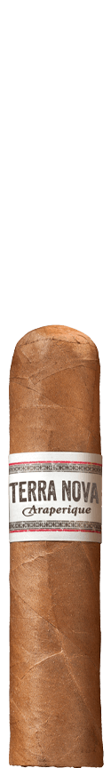 TERRA NOVA Araperique Short Robusto Cigar