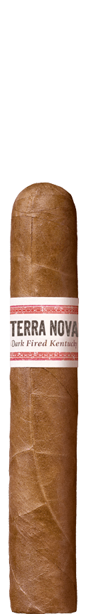 TERRA NOVA Araperique Robusto cigar