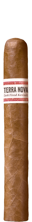 TERRA NOVA Araperique Toro cigar